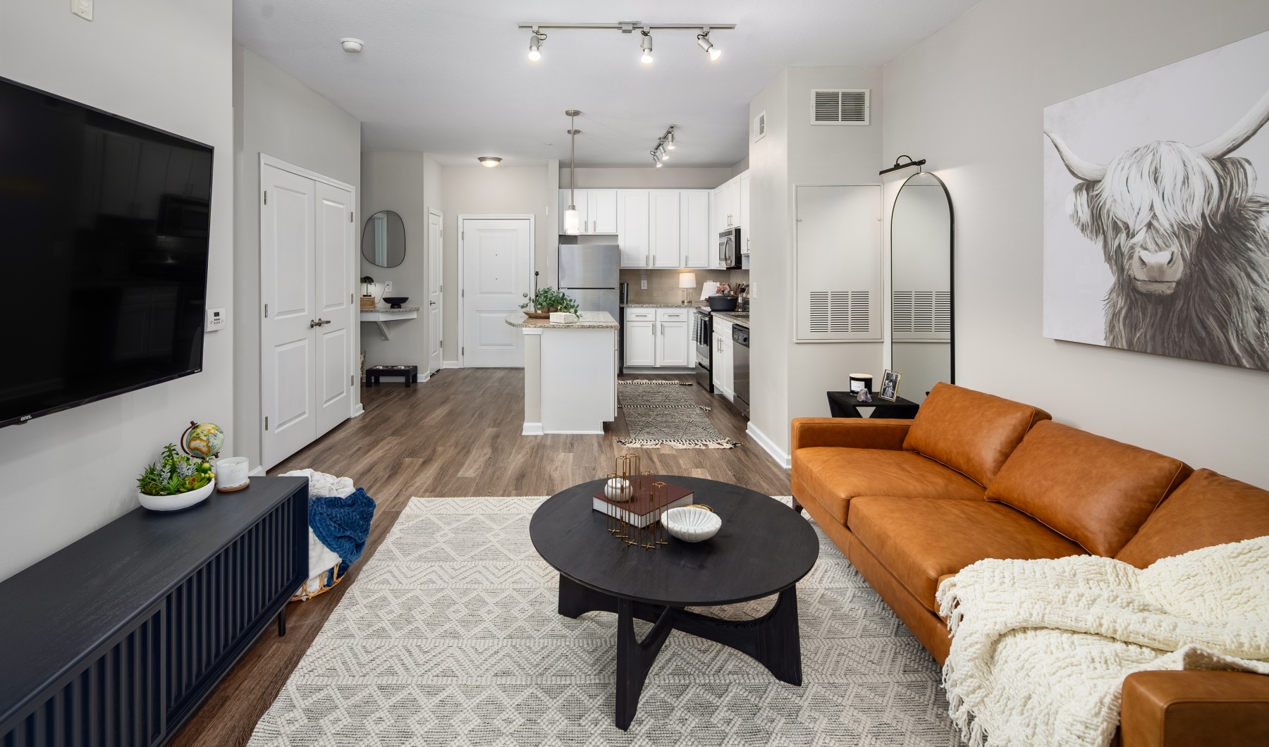 Avanti Brookhaven Model Avanti Brookhaven Model